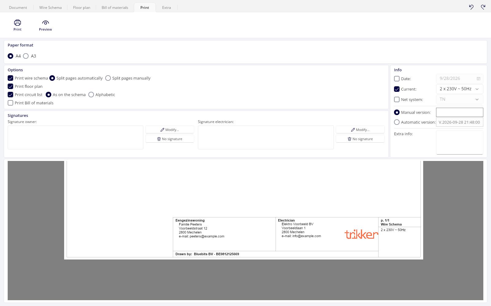 The Print tab, with the title block preview at the bottom